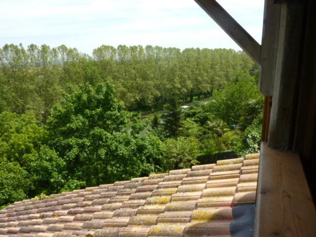 Le Dormeur Du Val Le Mas-d'Agenais Room photo